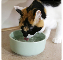Imported AUKATZ made in Japan veterinarians recommend cat bowls pet bowls drink more water bowls high facial value protect kidneys