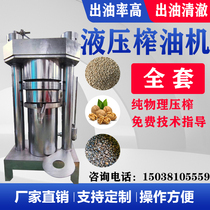 Rapeseed peanut sesame walnut tea seed hydraulic oil press for large oil mills fully automatic commercial sesame oil machine