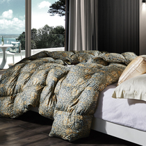 US imports new 120 cotton fabric 95% Hungary thickened white goose down quilted by winter by double quilt