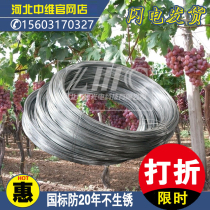 (Hot-dip galvanized steel wire 2 0mm grapes da peng jia dragon fruit Kiwi Passion Fruit Hot-dip galvanized steel strand
