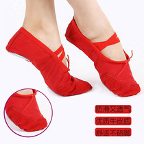 Belly dance Adult dance shoes Soft soled shoes Womens dance shoes Cloth shoes Ballet dance shoes Latin dance