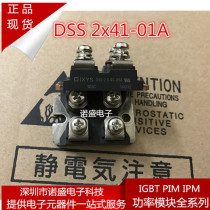 Brand new import DSS2X61-01A DSS2X41-01A Import rectification module Quality assurance consulting