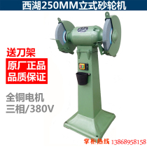 West Lake vertical floor grinder polishing machine sharpener 250mm three-phase 380V M3025 all copper motor