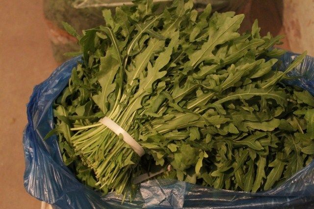 又称紫花南芥,别名芸芥,德国芥菜等,英文名rocket,arugula等,法语名