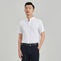 Stand-up collar short-sleeved shirt Mens Oxford spinning Chinese style slim-fitting youth casual fashion round neck Chinese stand-up collar shirt