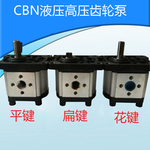 Gear pump hydraulic oil pump CBT-F310 F314 F314 F312 F325 F325 F320 F320 F306 F306 F306 F306