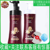 Van Tesi Shampoo for men and women Student control oil special cabinet suit Hair Care Vegetarian Mountain Tea Flowers No Silicone Oil Nourishes
