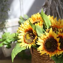 Sunflower Bouquet Simulation Flowers Sun Flowers Dance Props Home Living Room Dry Flowers Decoration Fake flowers Flowers Hem