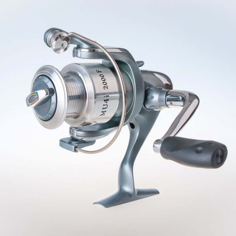 Rapala mu4i Rapala mu4i