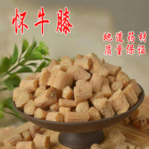 The effect of Achyranthes bidentata Chinese herbal medicine wild Achyranthes bidentata huai niu xi niu qi 500 grams niu qi niu xi