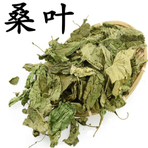 Mulberry leaf Chinese herbal medicine mulberry leaf dried 500g dry mulberry leaf bubble water to drink cream after frosting and frost mulberry leaf tea bulk mulberry leaves