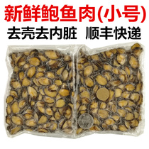 Pure abalone meat 500 grams 200-300 Fujian fresh frozen abalone meat Hotel seafood aquatic ingredients Commercial