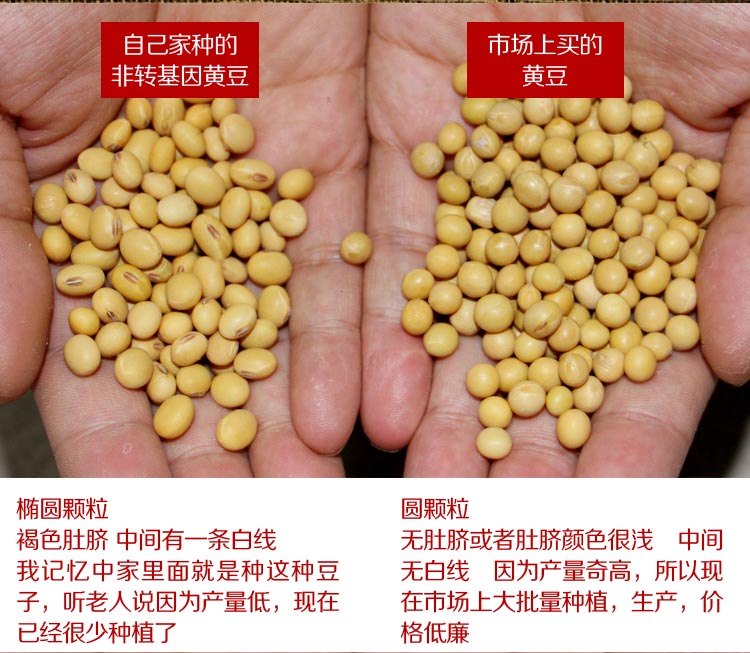 农家自种黄豆非转基因大豆椭圆450g 或生黄豆粉或熟黄豆粉350g