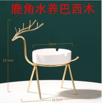 Gruter stump small bar potted base Western wood basin instrumental water raising tray lucky wood hydroponic plant shallow low mouth