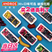 Andrew frozen fruit soluble mango strawberry raspberry raspberry Blueberry Peach Orange lychee passion fruit puree