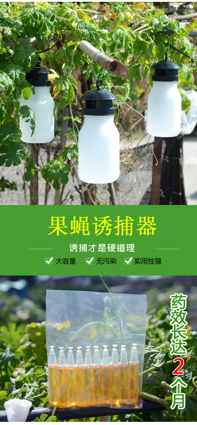 果蝇诱捕器果实蝇捕抓捉容器瓜果蔬菜花卉防虫诱虫性诱剂药水针蜂