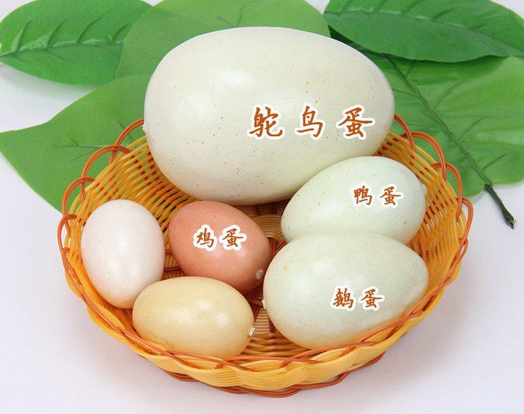 仿真鸡蛋模型 儿童彩绘手工幼儿园diy绘画鸵鸟蛋仿真园艺仿真植物