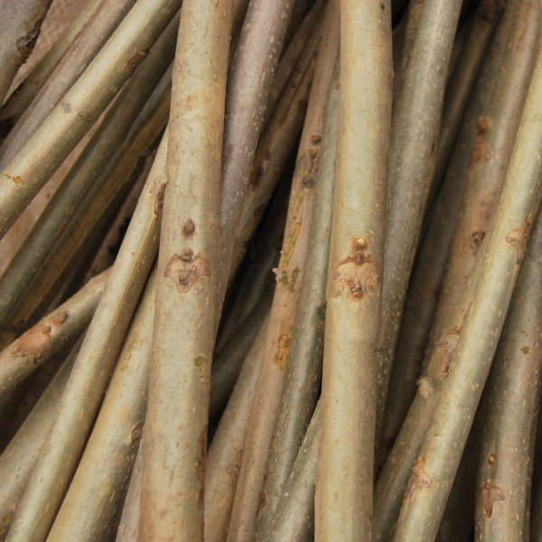 纯野生东北山核桃树枝 树皮 长白山最少50年树 (送使用说明书)