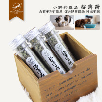 Cat Snacks Pegg 45ml bottled ready-to-eat catnip eats natural cat mint leaves