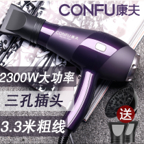 Yasuo professional hair dryer high power hair salon home silent blower blower barber shop special negative ion hair dryer