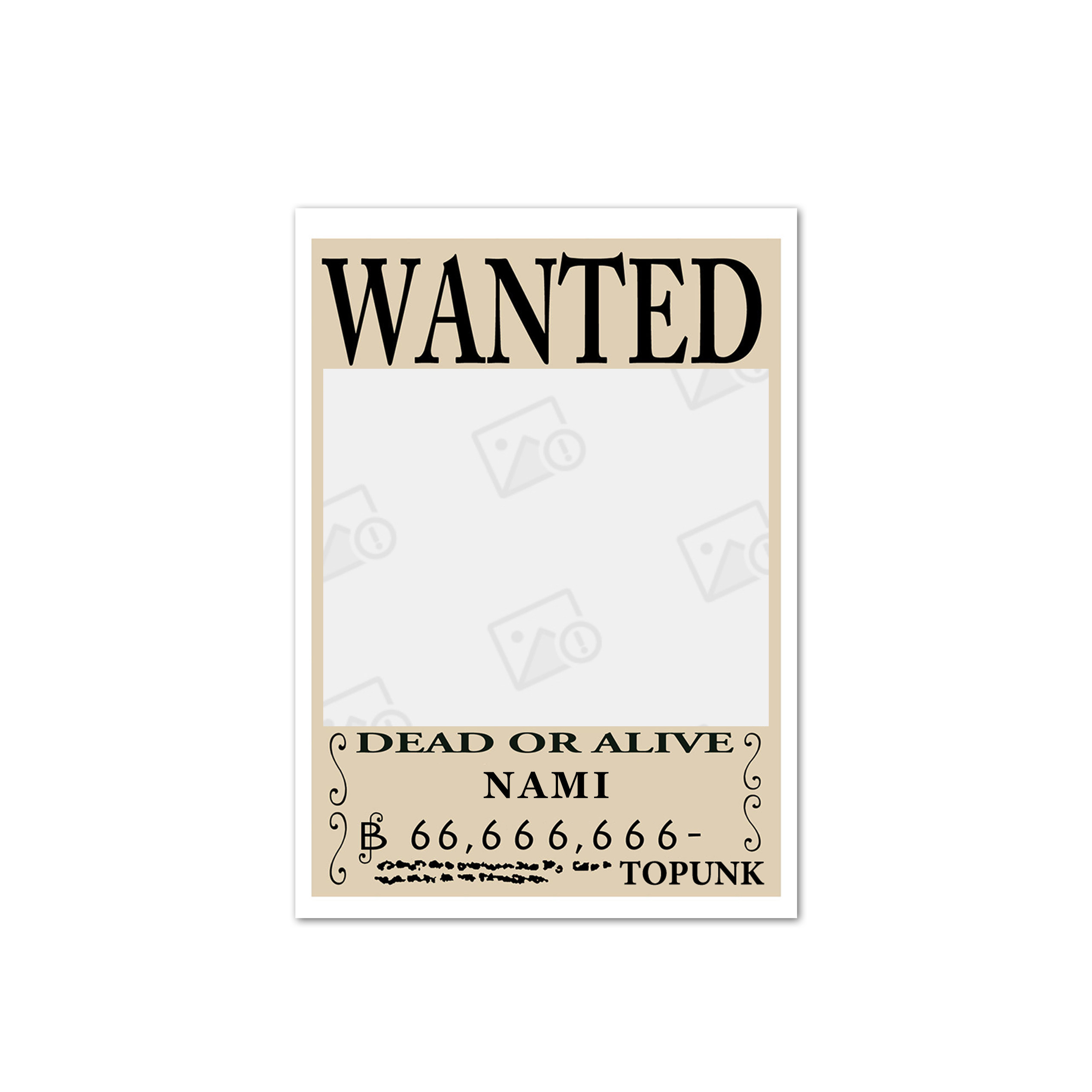 现货海贼王通缉令系列 娜美 原创金属徽章胸针pin