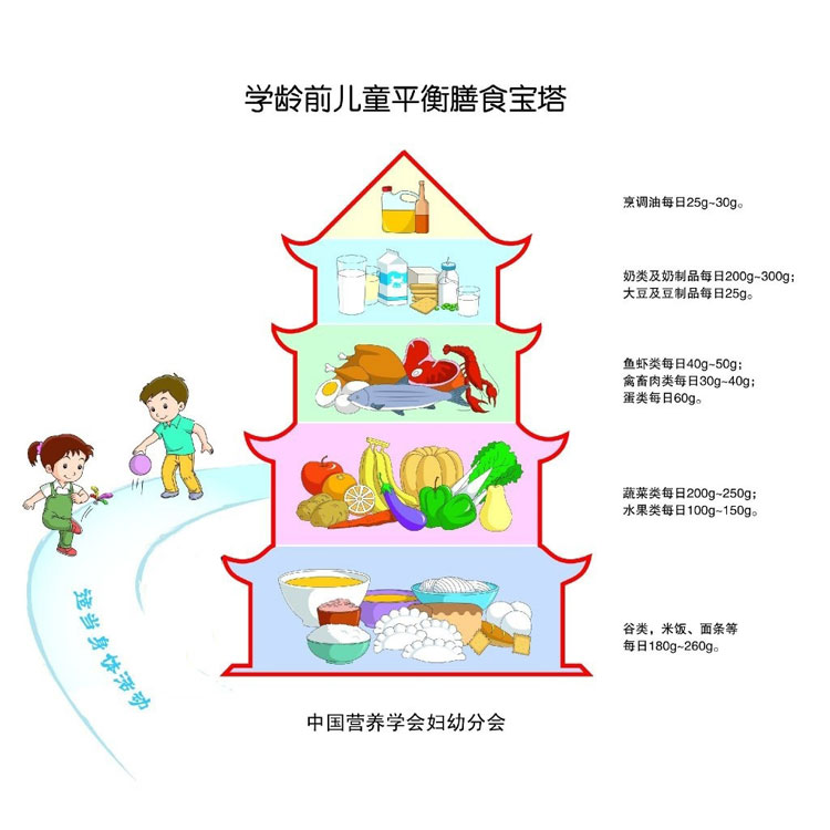 1岁以后,关于各类食物的摄入比例,大家可以看中国营养学会的膳食宝塔