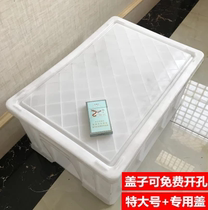 Cylinder transparent turtle water turtle water turtle turtle box large plastic feeding box oversized back large mixed extra large