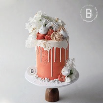 BITOlogy (Ethussiasm) C138 Creative Arts Network Red Birthday Cake Co-City Distribution