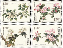 2018-6 Begonia Flower special stamp new package