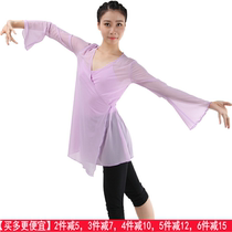 Danshi Ge new summer dance clothes practice clothes outshirts women classical dance long sleeves front cross elastic mesh clothes