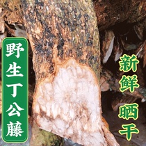 Wild Ding Govines Chinese herbal medicine Spicy Seeds Search Mountain tiger Bauer Vine Dry bulk 500 gr