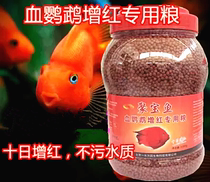 Treasure fish blood parrot red fish feed Tropical fish God of wealth ingot rich fish color fish food Fish food