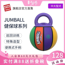 You are a traveling Jianbao ball a large dog a golden retriever a Labrador an Alaska pet toy ball