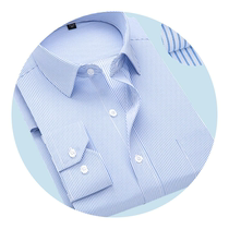 Lan Ben autumn thin long-sleeved shirt mens business career formal free hot purple stripe dad casual middle-aged