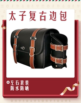 Motorcycle side bag hanging bag side box Longjia vtu 250 Lifan K19 V16 Qingqi GV300S modified saddle bag