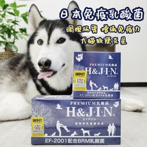 Big fat store Japan imported JIN dog cats and dogs with conditioning stomach soft stool lactic acid bacteria probiotics 30 90