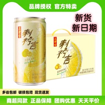 Wanglaoji prickly lemon 230ml*12 cans whole box batch special prickly pear juice vitamin c juice drink flagship store same style
