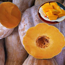 Super Sweet Old Pumpkin 10 Jin Farmhouse Old Varieties Flour Yellow Skin Gold Silk Long Pumpkin Sweet Pumpkin Chestnut Pumpkin