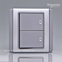 Schneider switch E3000 Metropolis series silver gray double control two open double LED switch panel