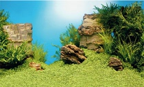 Special German Black Diamond JUWEL background painting fish tank wallpaper water grass Rock series 150x60CM