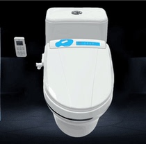 Smart Fumigation Toilet toilet sitting therapist Toilet Lid Large Intestine Detoxifier Hygienist Fumigation Cleaning Body Wash