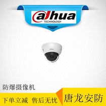 Dahua DH-IPC-HDBW4438R-AS HD 4 million H 265 anti-riot dome network camera