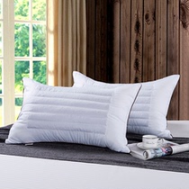 Hotel Pillow Core Buckwheat Dual-use Pillow Care Cervical pregnant woman Elderly health care without deformation pillow 48 * 74 One