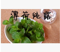 Xinjiang Yili Pepper-like Mint Pure Dew Saturated Flower Water Control Oil Supplement Pore Collection Acne 500ml