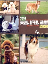 Pet beauty care modeling full illustration Fan Dan editor-in-chief