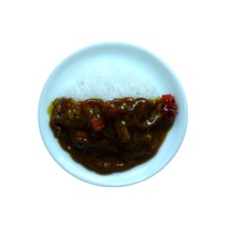 Japan tourism culture creative commemorative gift boutique Japanese traditional food style refrigerator paste curry rice