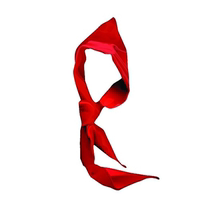 Red scarf Primary School red scarf young pioneer supplies cotton universal standard cotton cotton cotton children
