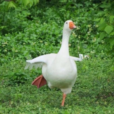 还好还好还好还好，。，。，。。。我也没有了，你说的说不定布丁酒店就到家回答不对不对不对不对八点半别的喝喝酒