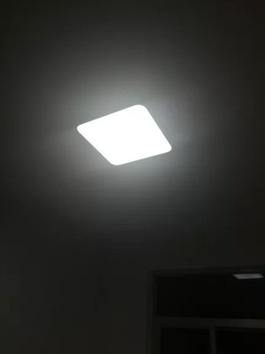 目前看来大品牌飞利浦照明灯具怎么样,质量好吗?日常用亮度够吗