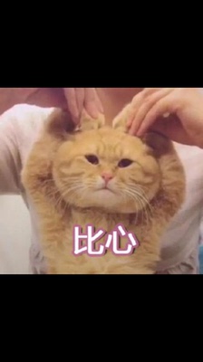 舒服舒服舒服舒服舒服舒服舒服舒服舒服舒服舒服舒服舒服舒服舒服舒服舒服舒服舒服舒服舒服舒服舒服舒服舒服舒服舒服舒服舒服舒服舒服舒服舒服舒服舒服舒服舒服舒服舒服舒服舒服舒服舒服舒服舒服舒服舒服舒服舒服舒服舒服舒服舒服舒服舒服舒服舒服舒服舒服舒服舒服舒服舒服舒服舒服舒服舒服舒服舒服舒服舒服舒服舒服舒服舒服舒服舒服舒服舒服舒服舒服舒服舒服舒服舒服舒服舒服舒服舒服舒服舒服